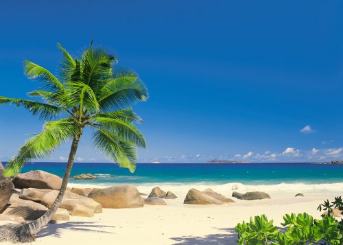http://ecx.images-amazon.com/images/I/51VDh3hXJlL._SL500_.jpg