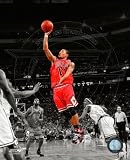 Derrick Rose - Chicago Bulls 2009 Spotlight- NBA 8x10 Photo