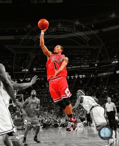 Derrick Rose - Chicago Bulls 2009 Spotlight- NBA 8x10 Photo