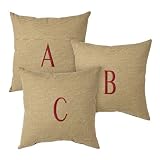 Outdoor Patio Beige 16x16" Monogramed Letter Decorative Pillow Set