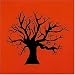 Search : The Tree Mind