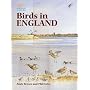 Birds in England (Poyser Country Avifaunas)