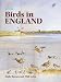 Birds in England (Poyser Country Avifaunas) bij Boeken bij de naam: 51VE120NFRL._SL75_