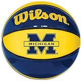 Michigan Wilson Underglass Basketball
