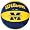 Michigan Wilson Underglass Basketball ( Michigan )
