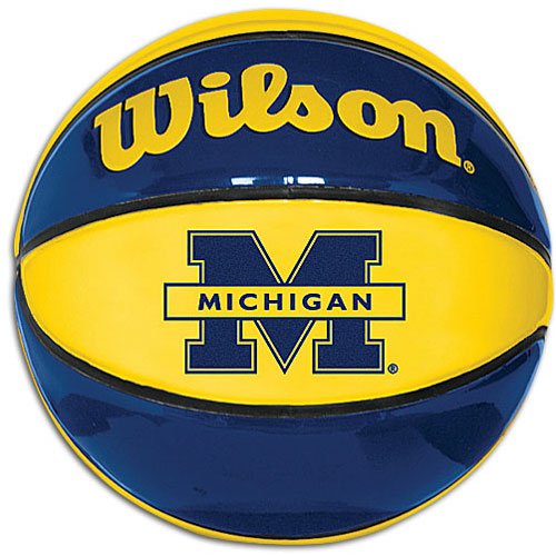 Michigan Wilson Underglass Basketball