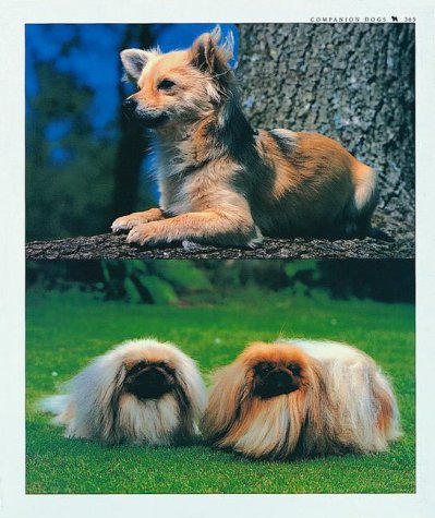Cover image : The Encyclopedia of the Dog: The Definitive Visual Guide