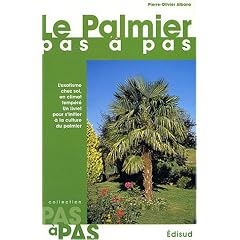 Le Palmier pas � pas