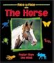 The Horse: Faster Than the Wind (Face-to-Face)