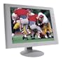 Sony SDM-S51 15.0" Flat Panel LCD Monitor