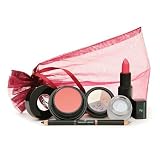Vincent Longo Beauty.com Exclusive Holiday Kit ($145 Value!) 1 ea