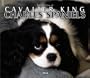 For the Love of Cavalier King Charles Spaniels 2004 Calendar