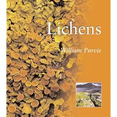 LICHENS                     PB (Natural World Series)