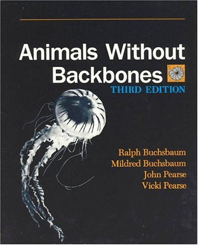 Invertebrates
