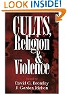Cults, Religion, and Violence