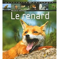 Le renard