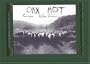 Oak-Mot