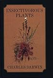 Insectivorous plants