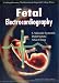 Book Fetal Electrocardiography (Series in Cardiopulmonary Medicine)