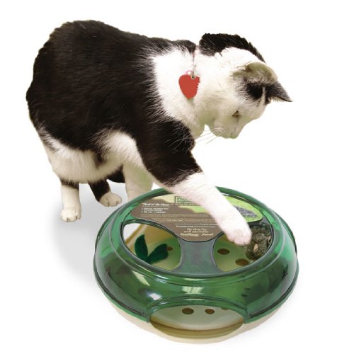 Our Pets CT-10162 Play-N-Squeak Thrill Of The Chase Cat Toy