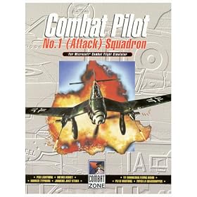 Combat Pilot