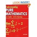 Understanding Pure Mathematics