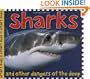 Sharks (Priddy Books Big Ideas for Little People)