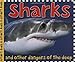 Smart Kids: Sharks: And Other Dangers of the Deep