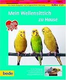 Wellensittich, zu Hause