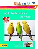 Wellensittich, zu Hause