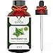 Peppermint Oil - Highest Quality Therapeutic Grade Backed by Medical Research - Largest 4 Oz Bottle with Premium Dropper, Essential Oil Labs