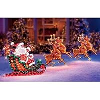 Christmas Outdoor Decor Holographic Santa, Sleigh and Deer