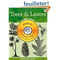 Trees & Leaves