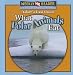 Nature's Food Chains:  What Polar Animals Eat