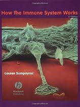 How the Immune System Works