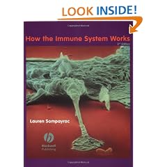 How the Immune System Works