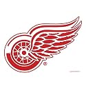 Detroit Red Wings Bowling Towel by Master