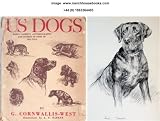 Us dogs: being the autobiography of Sambo, a Labrador