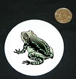 3 button / pin printed with amphibious, frog, amphibian, animal