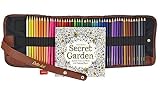 Professional Color Pencil Set-48 Unique Art Coloring Pencils- Non-Toxic Drawing Oil Pencils- Pencil Kit With Canvas Roll Up Pencil Case, Sharpener & FREE GIFT Great Adult Coloring Book 