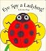 Search : Eye Spy a Ladybug (Lift-the-Flap Book (Price Stern Sloan).)