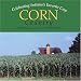 Corn Country Image