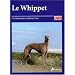 Le Whippet