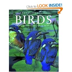 Encyclopedia of Birds (Ap Natural World.)
