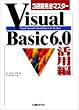 3�T�Ԋ��S�}�X�^�[Visual Basic 6.0���p��