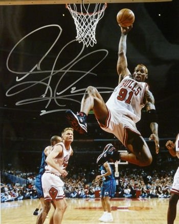 Dennis Rodman Autographed/Hand Signed Chicago Bulls 16x20 Photo