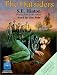 The Outsiders (Audio Cassette)