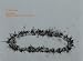 Books : Cai Guo-Qiang: Light Cycle