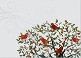 Festive Birds Deluxe Holiday Boxed Cards (Christmas Cards, Holiday Cards, Greeting Cards)