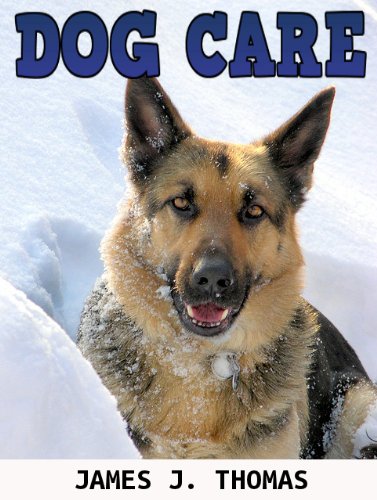 51VFBwVgIEL Symptoms In Dogs   Recognize What Your Dog Might Be Feeling